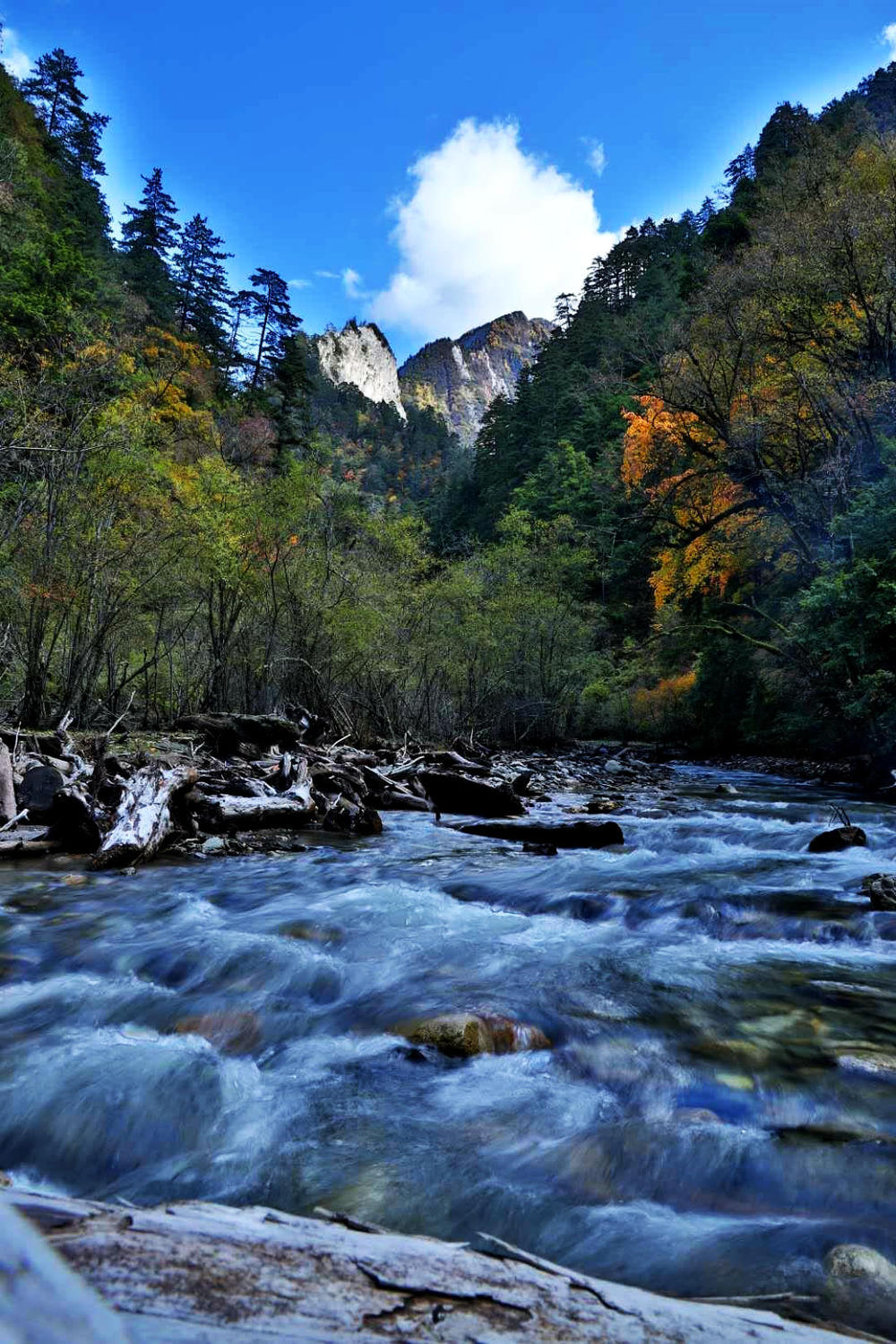 周日蒲溪海子双流各分部11月10日蒲溪海子换个心情看风景你会发现不一