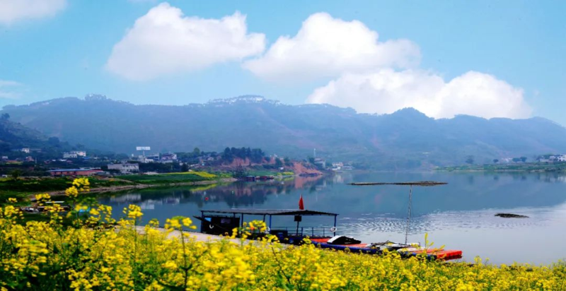 周三平羌小三峡2月23日周三看豪华江景油菜花赏罕见地质奇观平羌小