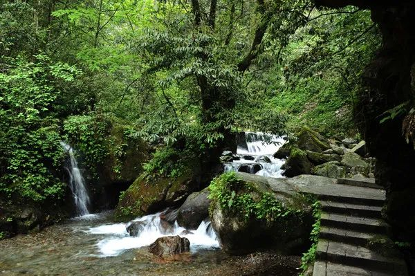 九瀑一线天","飞泉洞","豹啸泉","埋石林","杜鹃林"等10余处景点中以"
